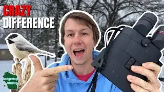 Stabilized Binoculars Are a Game Changer For Birding (Kite Optics Review)