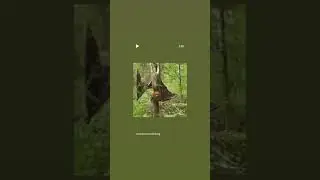 big ass bat 🧐🧐🧐🧐🧐🧐real or Fake