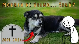 CACHORRO ANTIGAMENTE NÃO FICAVA DOENTE MORRIA DE VELHO E HOJE TUDO NUTELA TUDO É ALERGIA
