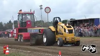 Yellow Dream Super Stock Sonsbeck 2019 by MrJo