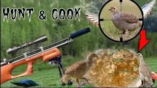 Air Rifle Partridge