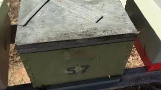 Update on Brad&rsquo;s Removal