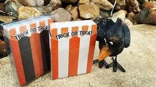 Trick or Treat Deck - October Kings Wild Project Shorts - Deck Review!