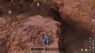 Ark life