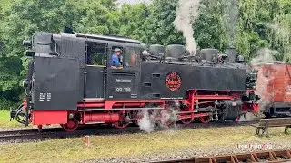 4K Dampflokomotive Öchsle Bahn, Deutschland. Steam Locomotive 2025