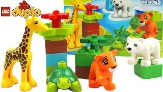 Lego Duplo Baby Animal Around the World Unboxing, Build & Play, Learn Color Video for Kids