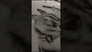 Therapy 🙇| #art #therapy #dog #pencildrawing #sketch #drawing #drawingvideo #process
