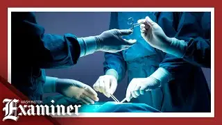 Florida bans use of Medicaid on transgender surgeries