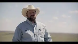 Walmart + AgSpire Partnership for Sustainable Beef