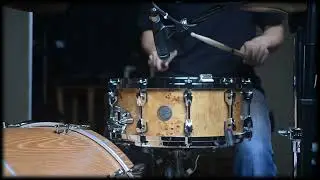 Tama Starphonic Series Maple 6 x 14 inch Snare Drum - Mapp Burl