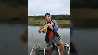 PESCA DE TUCUNARE - LAGO DE ITAIPU #1