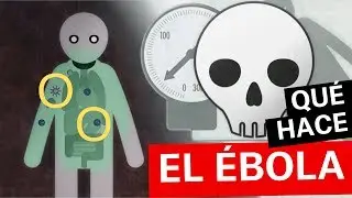 ¿Qué es el virus del Ébola? Síntomas y cómo se contagia