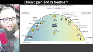 10 07 - The spectrum from mood and anxiety disorders to painful functional somatic syndromes