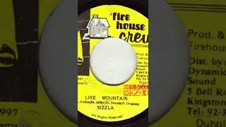 Sizzla &ndash; Like Mountain - 1997