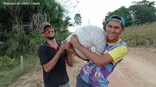 Riquezas da Minha Cidade - Colheita e Processamento do A&ccedil;a&iacute; | bonja tv