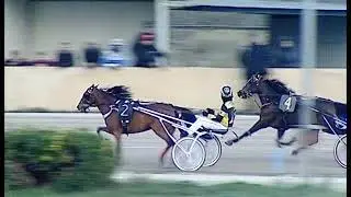 corsa minitrotter  ippodromo cirigliano di aversa 1/12/2018