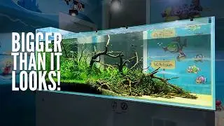 I made a beautiful 6 foot room divider aquarium for a kids dentist