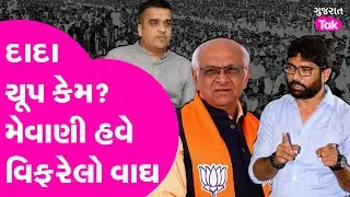 Jignesh Mevani નો મુખ્યમંત્રીને સવાલ, દારૂ-ડ્રગ્સ બાબતે મૌન કેમ? #jigneshmevani #jigneshmevani
