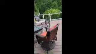 squirrel escape