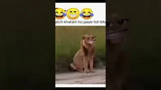 🤣🤣🤣🤣#onlyforfun #tiger