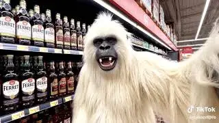 Blog Oso BlanCO - Fernet con los PibarDos!
