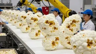 Behind the Movie Theater Popcorn Industry: From the Cornfield to a Delicious Bowl of Gourmet Popcorn