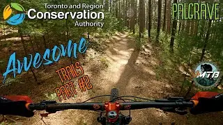Palgrave Conservation Area part #2