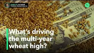 Drought, uncertainty on wheat crop pushes prices&nbsp;up
