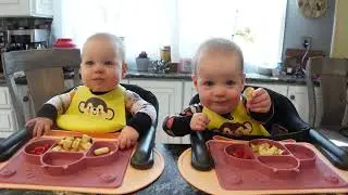 Twins try grilled cheese!