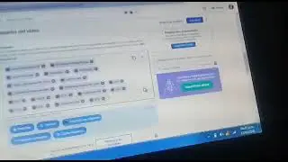Puntos SEO bug