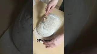 Over-proofed same day sourdough bake #artisanbread #shorts