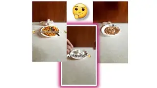 🤔 'Chickpea, Batasha, Bael powder, Crispy Rice Treats! 🖐️ #etc #foodie #eating #reaction #video