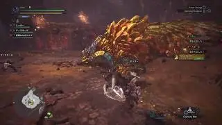 The Joy Of A Hammer User