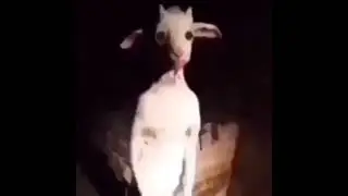 .... &oslash;&middot;&oslash; ̈&ugrave;&scaron;&ugrave;&bdquo;&oslash;&copy; ... &oslash;&pound;&oslash;o&ugrave;&dagger;&ugrave;&scaron;&oslash;&copy; &ugrave;&bdquo;&ugrave;&bdquo;&oslash;&pound;&oslash;&middot;&ugrave; &oslash;&sect;&ugrave;&bdquo; ... &ugrave;&bdquo;&ugrave;&scaron;&oslash; ̈&ugrave;&scaron;&oslash;&sect;