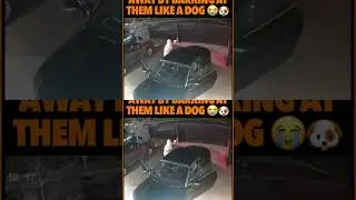 #FUNNY MAN SCARED THIEVES 😱 AWAY !! Barking LIKE A DOG 🐶😮&zwj;💨😂😂😂😂😂😂😂😂 #fyp #viral