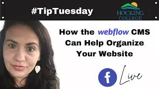 How the Webflow CMS can help organize your website