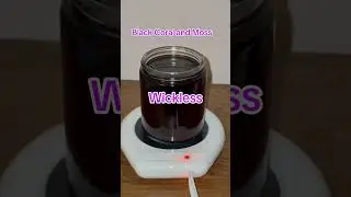 Wickless candle 9 oz and candle warmer sold separately.