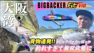 【ショアジギング】青物連発!! 大阪湾をフィットバイブが荒らしまくる。