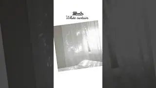 White curtains from Meesho🤍🕊️✨ #white #curtains #shorts