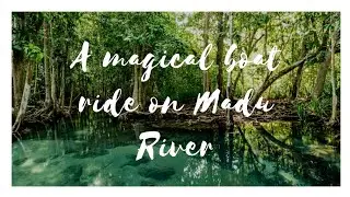 A magical boat ride on Madu River, Sri Lanka