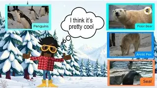 Learning animals in the cold regions! အအေးပိုင်းဒေသရှိတိရစ္ဆာန်များ ဆီသို့ သွားရောက်လေ့လာခြင်း။