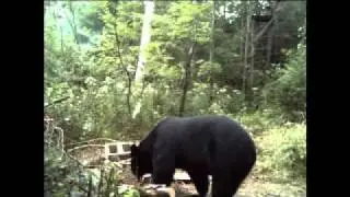 Cuddeback Attack IR Camera by Rocket Bobber.