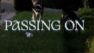 PASSING ON