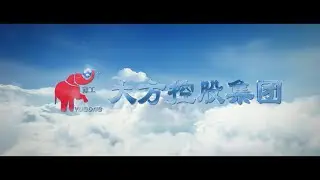 Henan Dafang crane company introduction