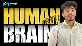 The Human Brain | A ..... to ..... Z
