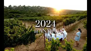 Anava 2024