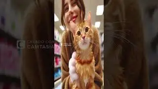 Sad cat glow up story