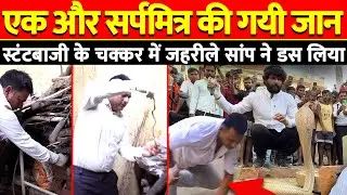 एक और सर्पमित्र को कोबरा ने डस लिया, देखिए कैसे क्या हुआ🐍 #snakebites #snakevideo #murliwalehausla