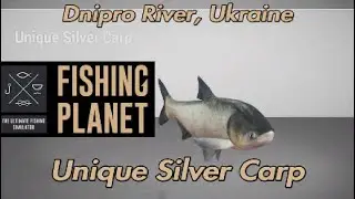 Уникальный толстолобик на реке Днепр в Украине. Путеводитель по Fishing Planet.