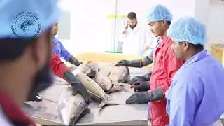 Bringing Premium Omani Seafood to the World: Our Supply Chain Story